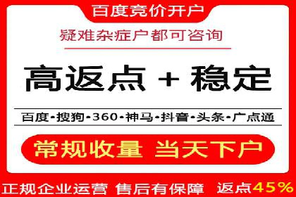 竞价排名的投放策略与效果评估案例
